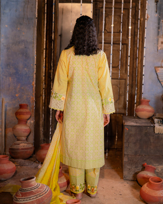 Linen fabric block print and embroidery suit or semi & loose pants.