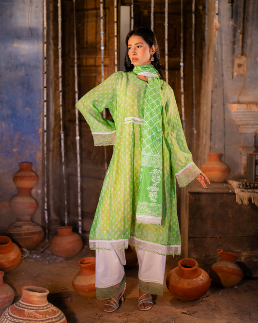 Mul Chanderi with embroidery on organza fabric.
