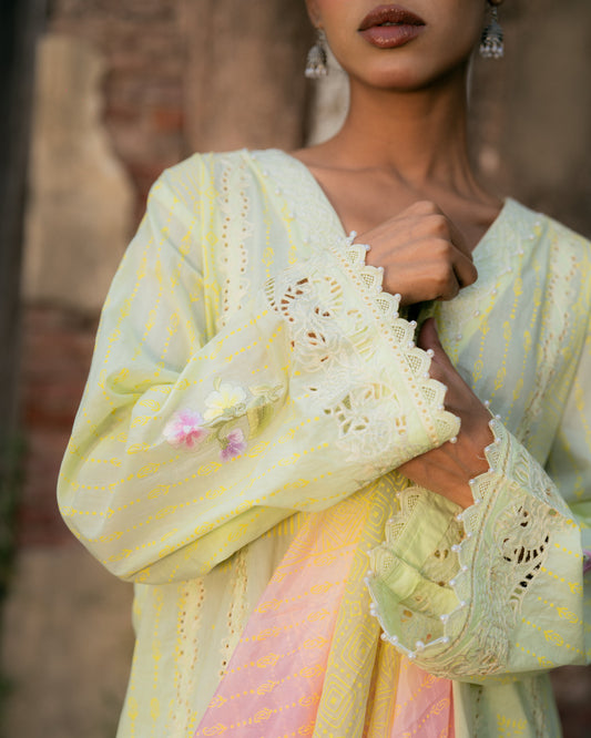 Mul with cut work and resham embroidery