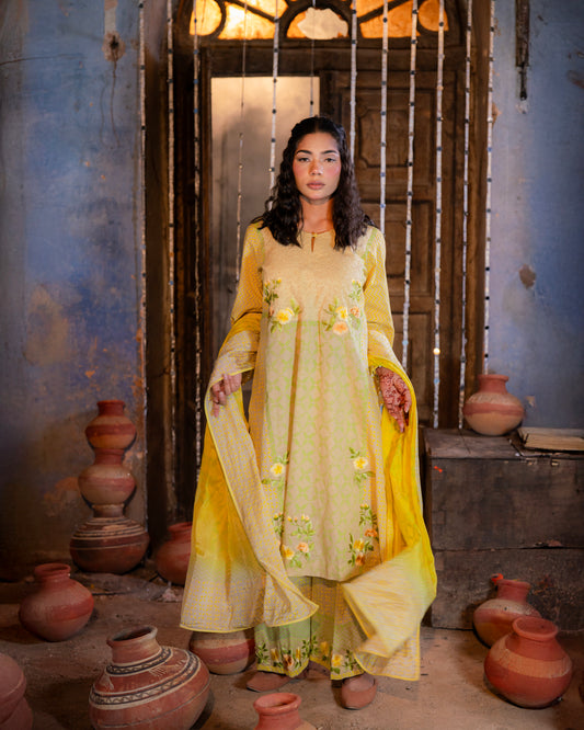 Linen fabric block print and embroidery suit or semi & loose pants.