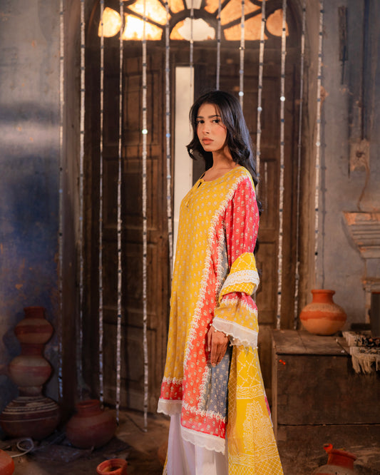 Mul Chanderi fancy with Ari work