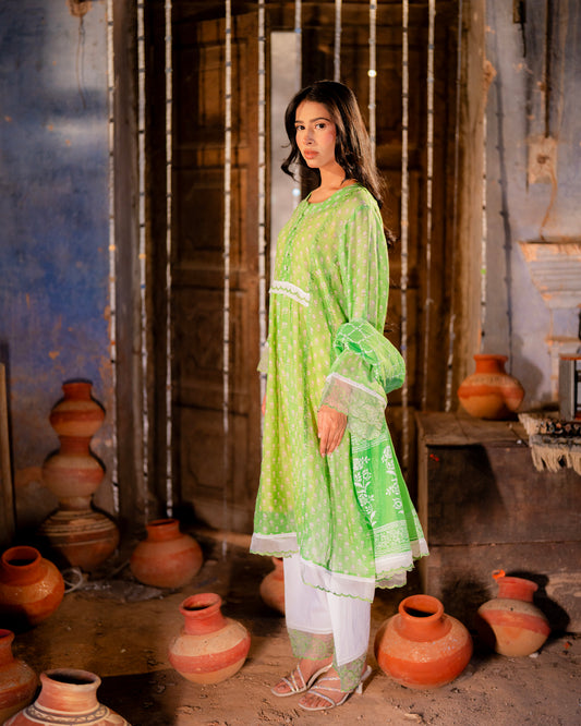 Mul Chanderi with embroidery on organza fabric.