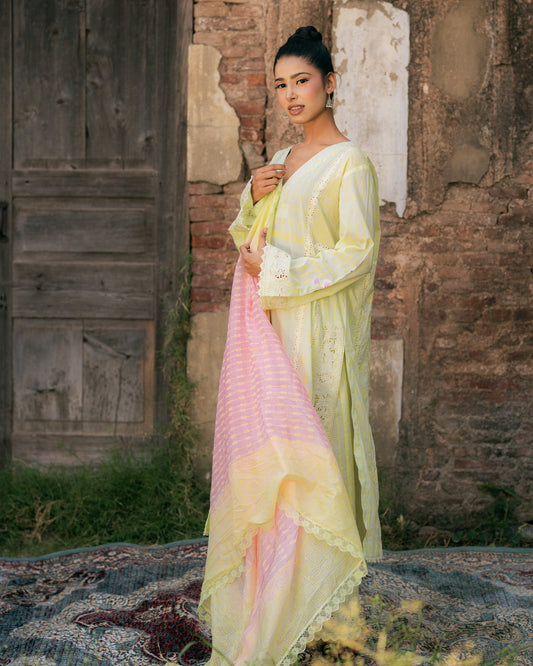 Mul with cut work and resham embroidery