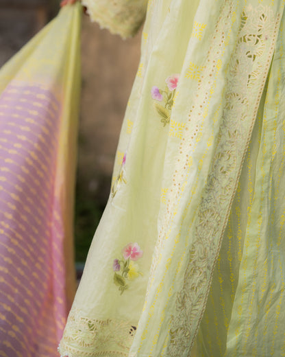 Mul with cut work and resham embroidery
